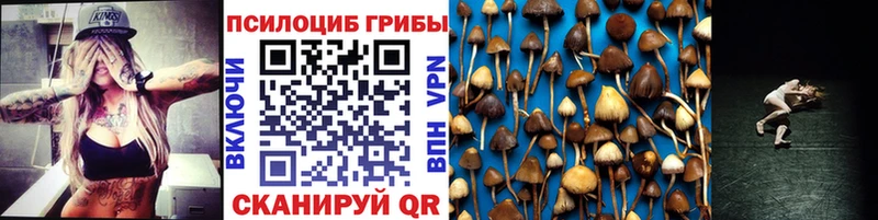 купить закладку  Белый  Галлюциногенные грибы Psilocybe 